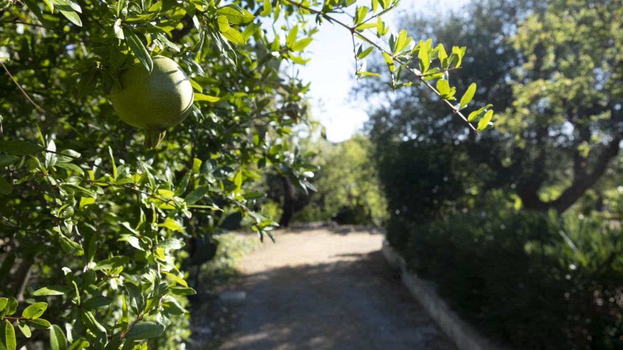 Il Rifugio Nel Verde Villa Monopoli Exterior photo